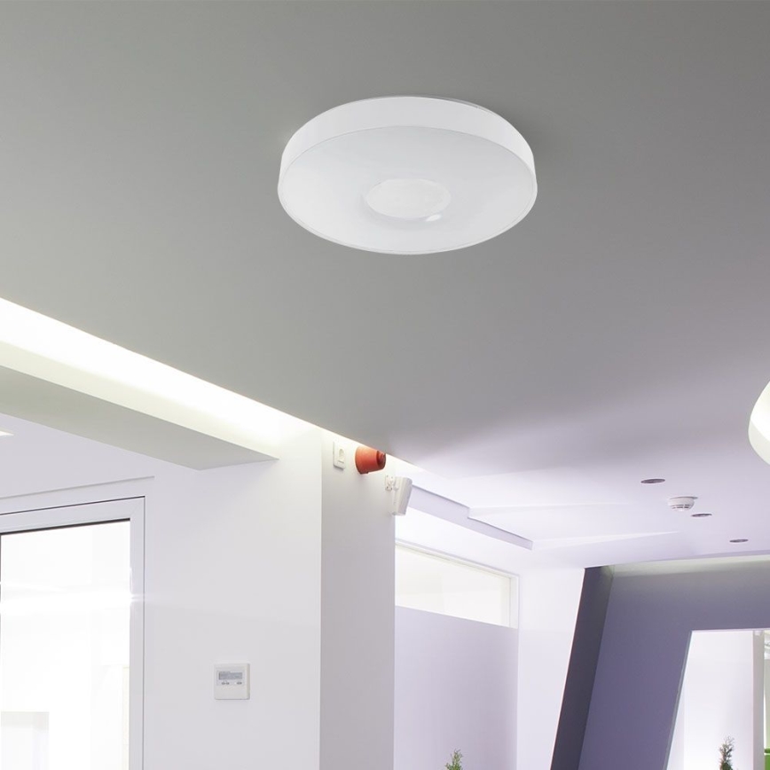 Plafón LED regulable LED/60W/230V 3000-6500K 49,5 cm blanco + control remoto