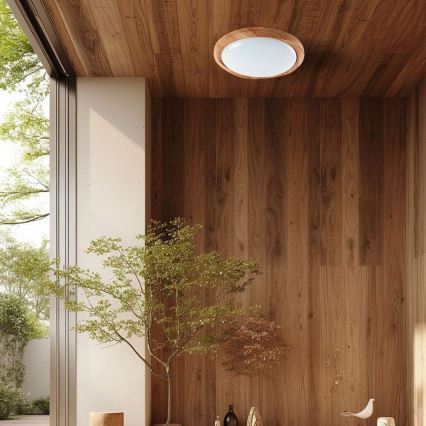 Plafón LED regulable LED/60W/230V 3000-6500K diá. 49 cm + control remoto