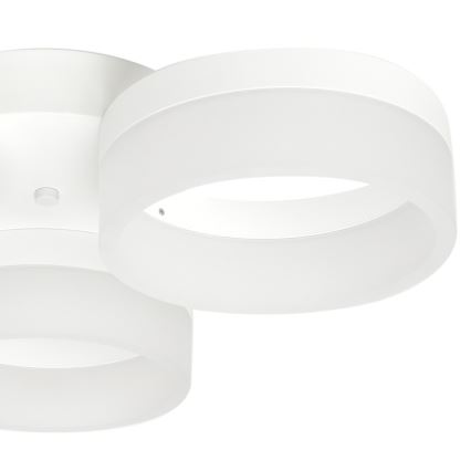 Plafón LED RING 3xLED/12W/230V blanco
