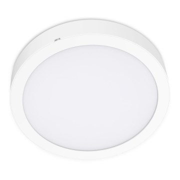 Plafón LED SIGARO CIRCLE LED/24W/230V 4000K IP40