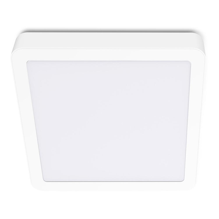 Plafón LED SIGARO SQUARE LED/24W/230V 4000K IP40
