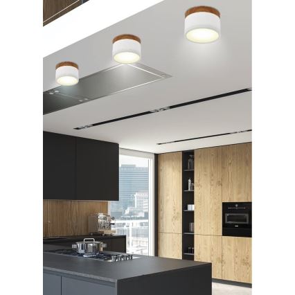 Plafón LED TUBA LED/9W/230V blanco/beige