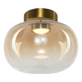 Plafón LED VASO LED/4W/230V diá. 18 cm dorado/ahumado