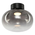 Plafón LED VASO LED/4W/230V diá. 18 cm negro/ahumado