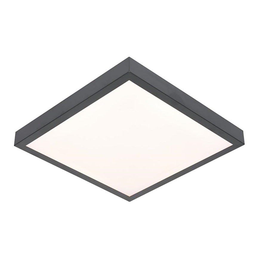 Plafón LED VITALI LED/24W/230V