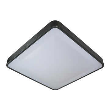 Plafón LED WILTON LED/24W/230V 37,5x37,5 cm antracita