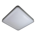 Plafón LED WILTON LED/24W/230V 37,5x37,5 cm gris