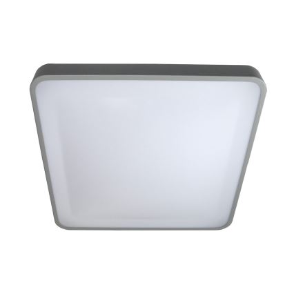 Plafón LED WILTON LED/24W/230V 37,5x37,5 cm gris