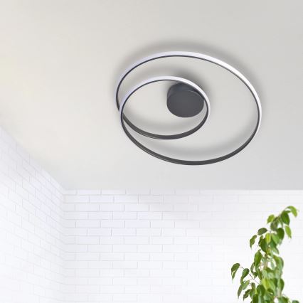 Plafón LED ZEFIRA LED/40W/230V 4000K diá. 50 cm antracita