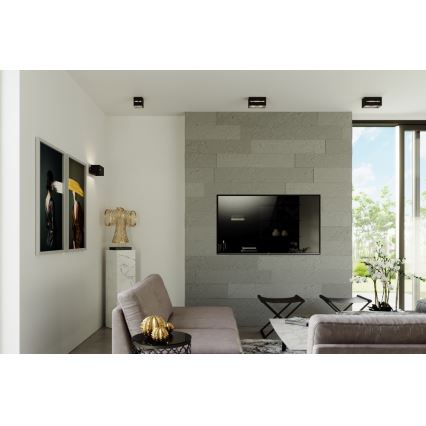 Plafón LOBO 1xG9/40W/230V negro