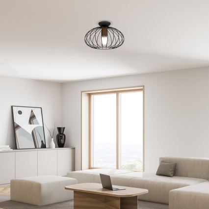 Plafón MERIDIANO 1xE27/60W/230V