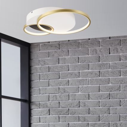 Plafón regulable BENITO LED/31W/230V 3000-6500K blanco/dorado