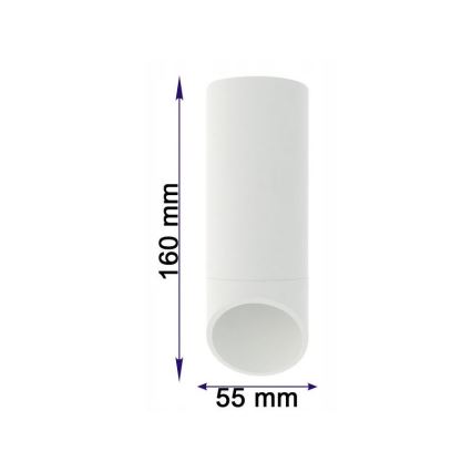 Plafón VALDA 1xGU10/60W/230V blanco