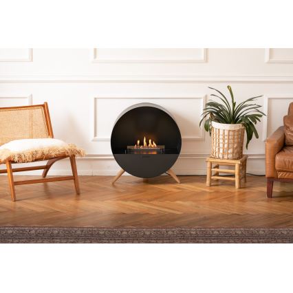 Planika - Chimenea BIO con control remoto 72,6x65 cm 2,5kW/230V negro