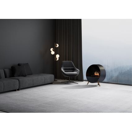 Planika - Chimenea BIO con control remoto 72,6x65 cm 2,5kW/230V negro