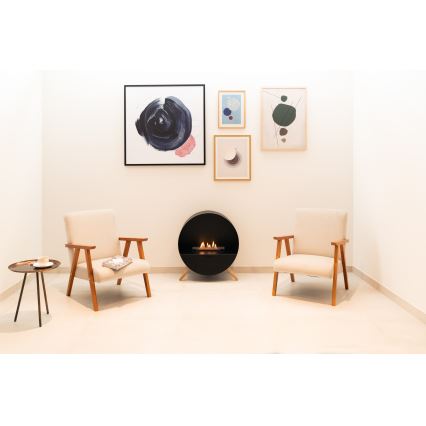 Planika - Chimenea BIO con control remoto 72,6x65 cm 2,5kW/230V negro