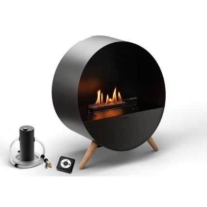 Planika - Chimenea BIO con control remoto 72,6x65 cm 2,5kW/230V negro
