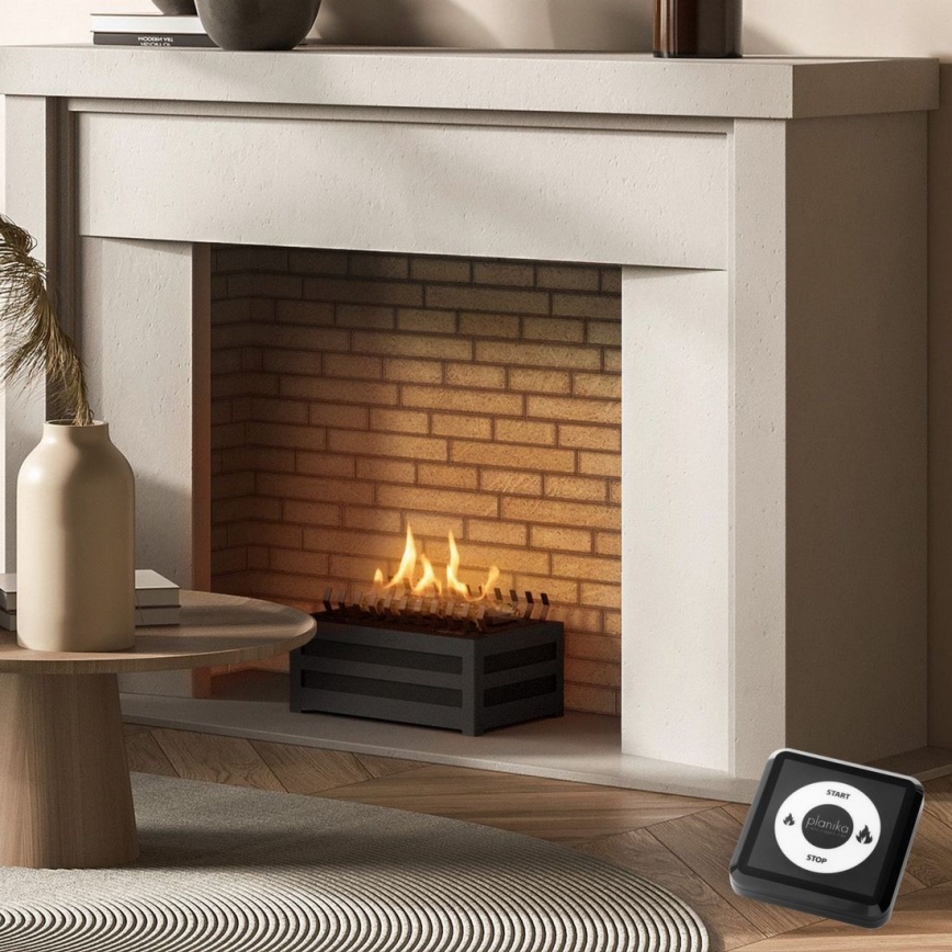 Planika - Chimenea BIO con control remoto 20,8x38,5 cm 2,5kW/230V negro