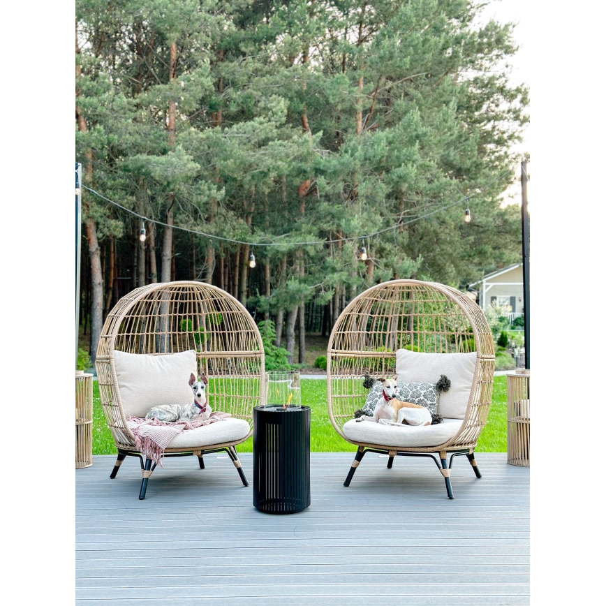 Planika - Chimenea BIO 87x37,6 cm 2,5kW negro + tapa protectora