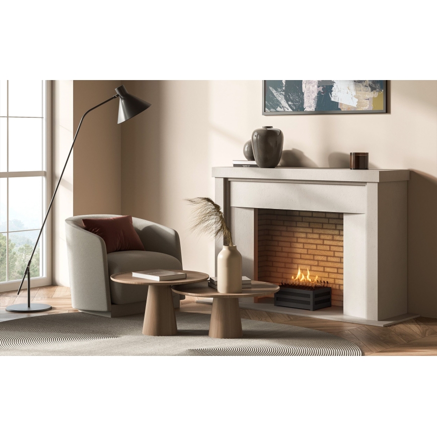 Planika - Chimenea BIO con control remoto 20,8x38,5 cm 2,5kW/230V negro