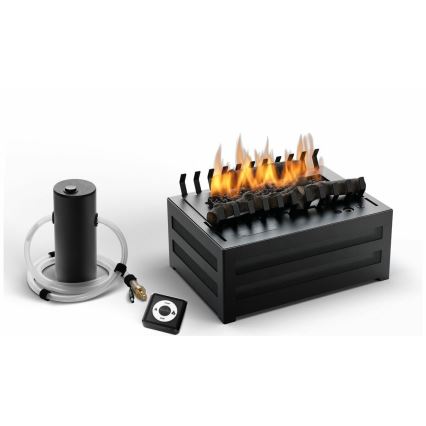 Planika - Chimenea BIO con control remoto 20,8x38,5 cm 2,5kW/230V negro