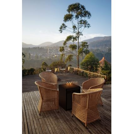 Planika - Chimenea de gas para exterior 79,7x48 cm 10kW 1xAAA negro + funda protectora