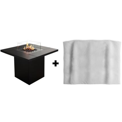Planika - Chimenea de gas para exterior 79,7x90 cm 10kW 1xAAA negro + funda protectora