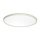 Prezent 27304 - Plafón LED de baño CORDIA LED/12W/230V 3000/6000K IP54 blanco