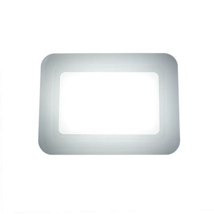 Proyector LED/50W/230V 4000K IP65