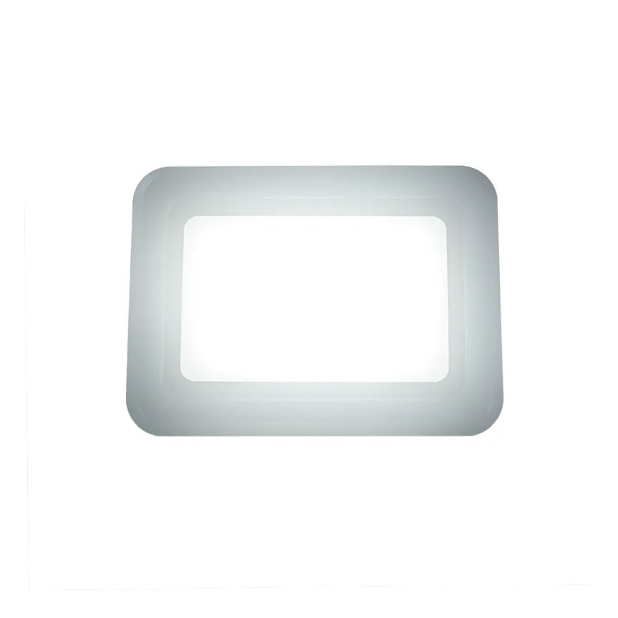 Proyector LED/50W/230V 4000K IP65