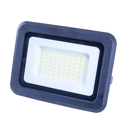 Proyector LED/50W/230V 4000K IP65