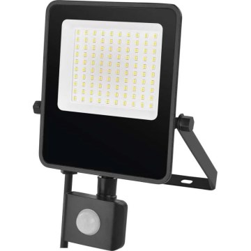 Proyector LED con sensor VISIO LED/50W/230V 4000K IP65