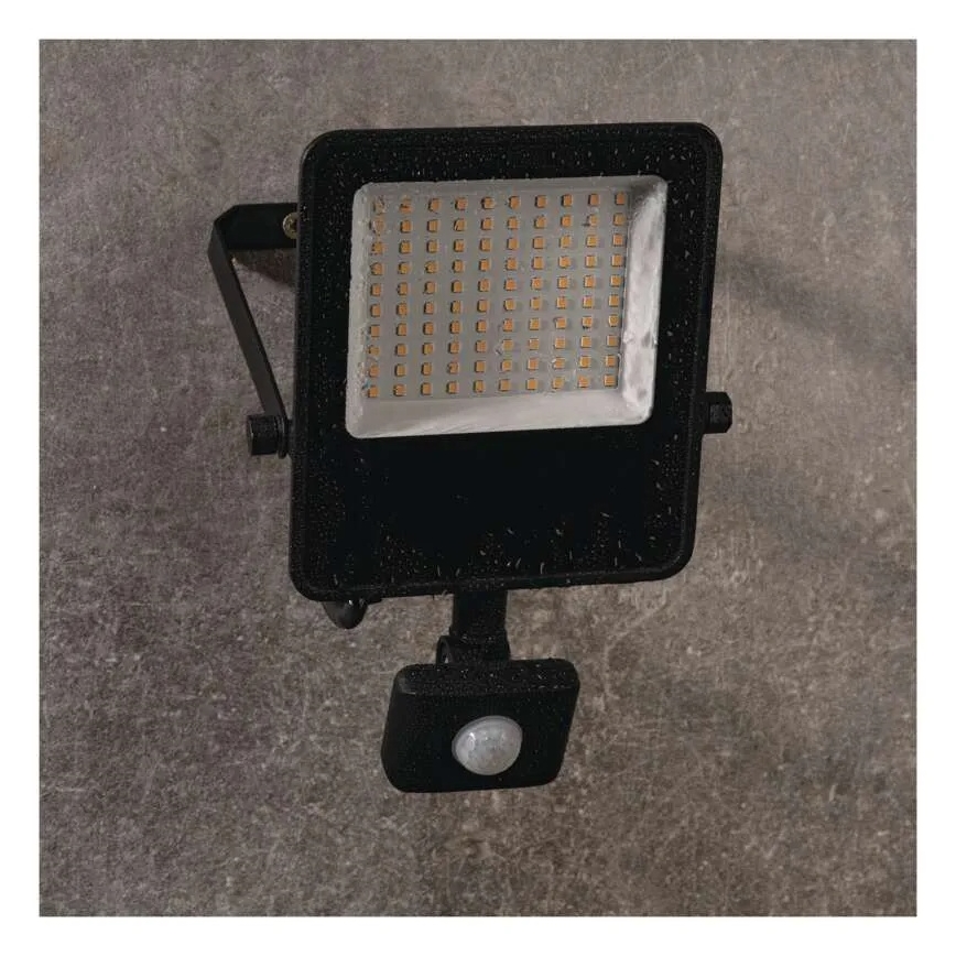 Proyector LED con sensor VISIO LED/50W/230V 4000K IP65