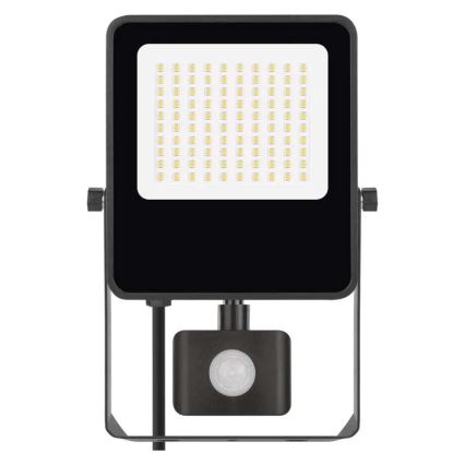 Proyector LED con sensor VISIO LED/50W/230V 4000K IP65