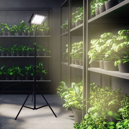 Proyector LED con soporte para el cultivo de plantas FIRON LED/45W/230V IP54 negro