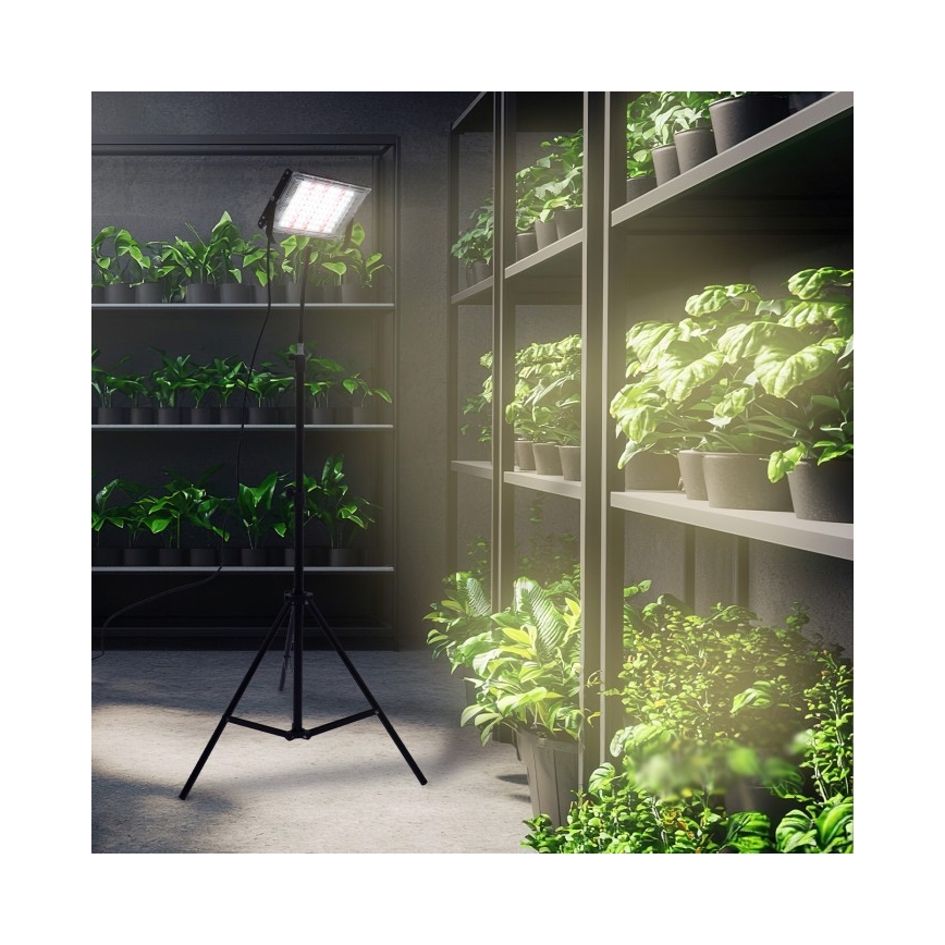 Proyector LED con soporte para el cultivo de plantas FIRON LED/45W/230V IP54 negro