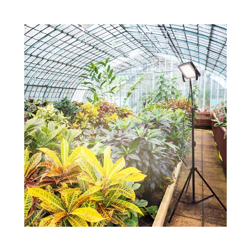 Proyector LED con soporte para el cultivo de plantas FIRON LED/45W/230V IP54 negro
