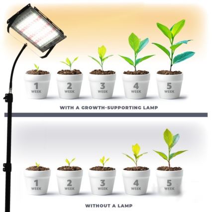 Proyector LED con soporte para el cultivo de plantas FIRON LED/45W/230V IP54 negro