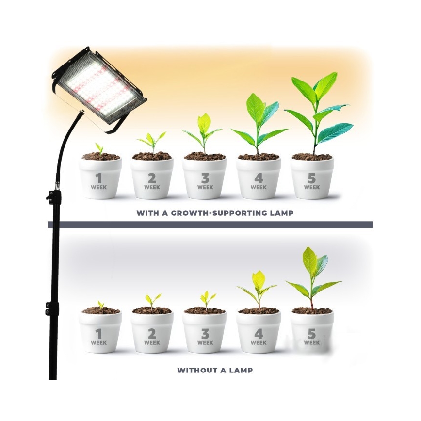 Proyector LED con soporte para el cultivo de plantas FIRON LED/45W/230V IP54 negro