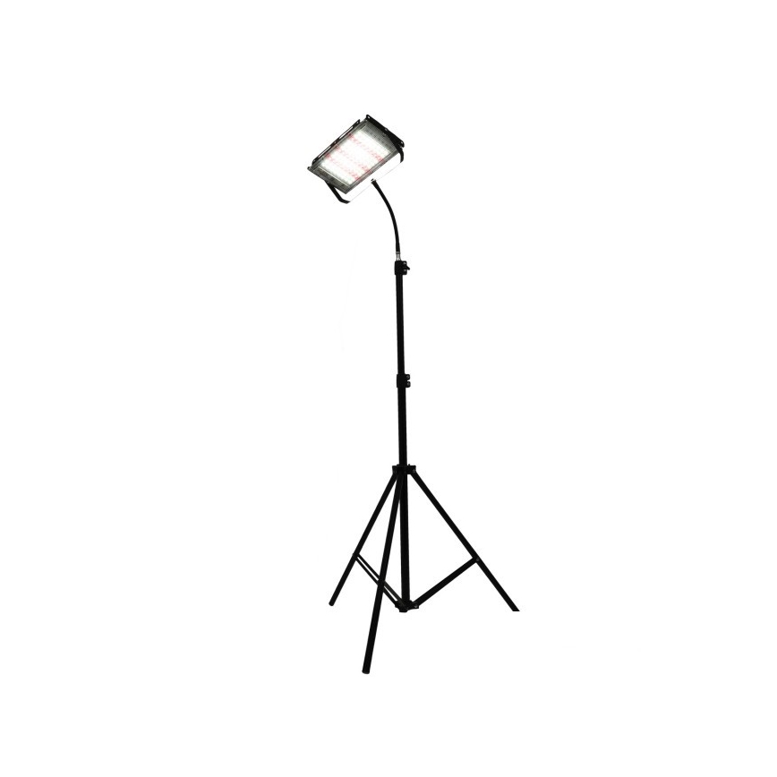Proyector LED con soporte para el cultivo de plantas FIRON LED/45W/230V IP54 negro