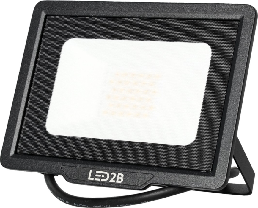 Proyector LED de exterior LED/30W/230V 6500K IP65
