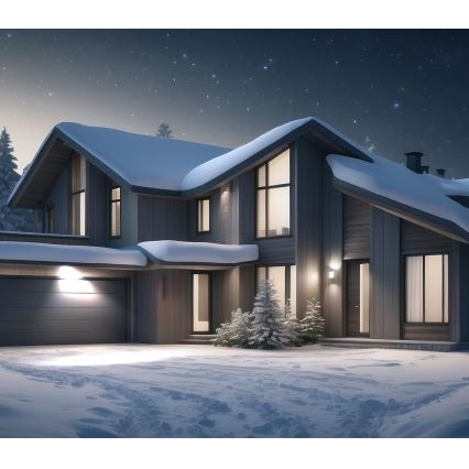 Proyector LED de exterior LED/30W/230V 6500K IP65