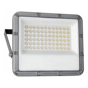 Proyector LED exterior LED/50W/230V 4500K IP65 gris
