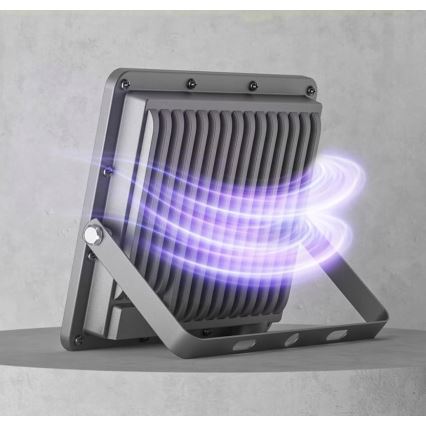 Proyector LED exterior LED/50W/230V 4500K IP65 gris