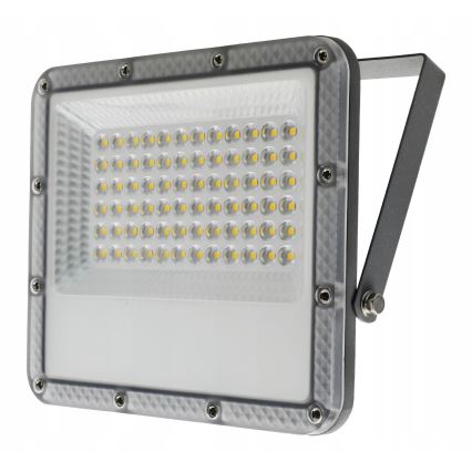 Proyector LED exterior LED/50W/230V 4500K IP65 gris