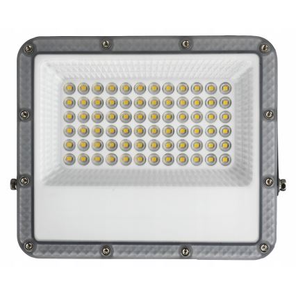 Proyector LED exterior LED/50W/230V 4500K IP65 gris