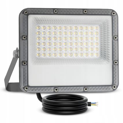 Proyector LED exterior LED/50W/230V 4500K IP65 gris