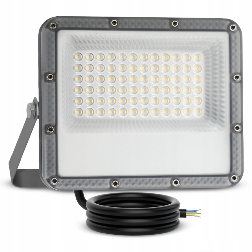 Proyector LED exterior LED/50W/230V 4500K IP65 gris