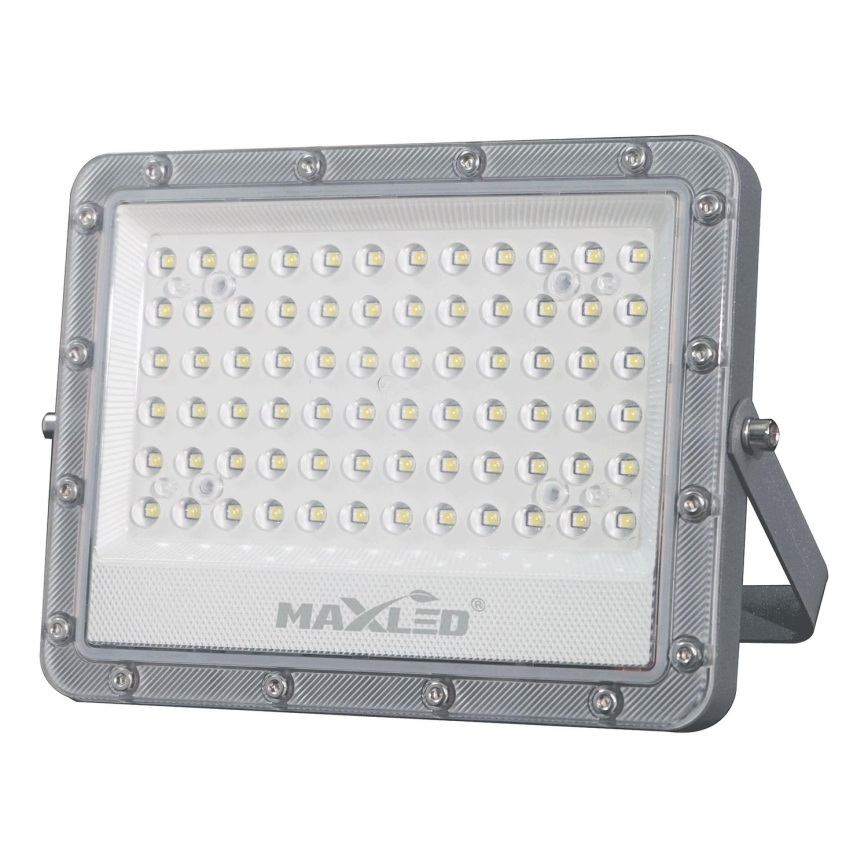 Proyector LED para exterior LED/100W/230V 5000K IP65 gris