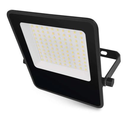 Proyector LED VISIO LED/50W/230V 4000K IP65